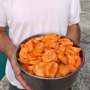 Jack fruit