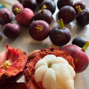 mangosteen
