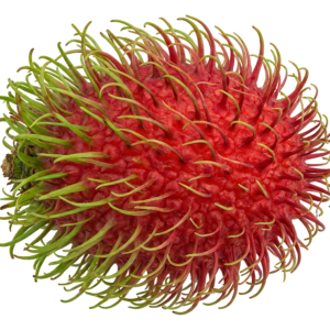 Rambutan